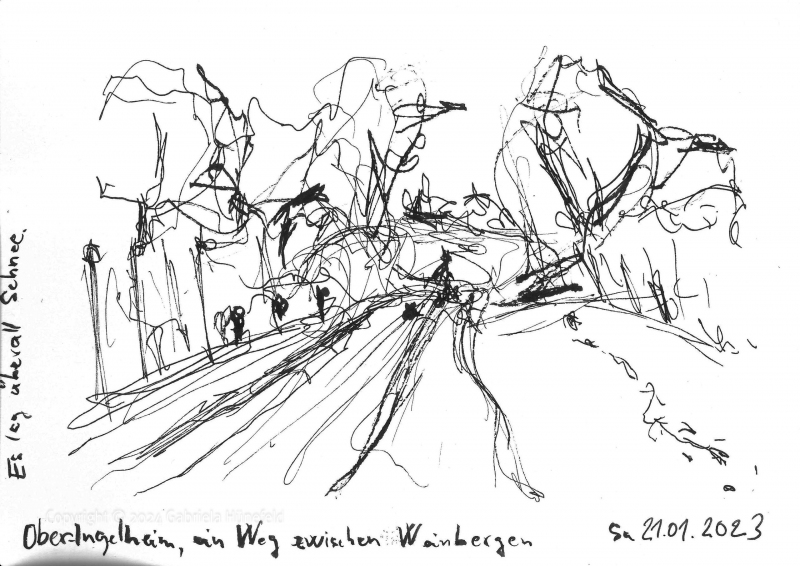 0006-Weinberg-mit-Schnee-Ingelheim-am-Rhein